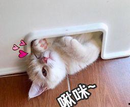 啾咪啾咪娱乐爆料,娱乐圈最新动态大揭秘  第3张